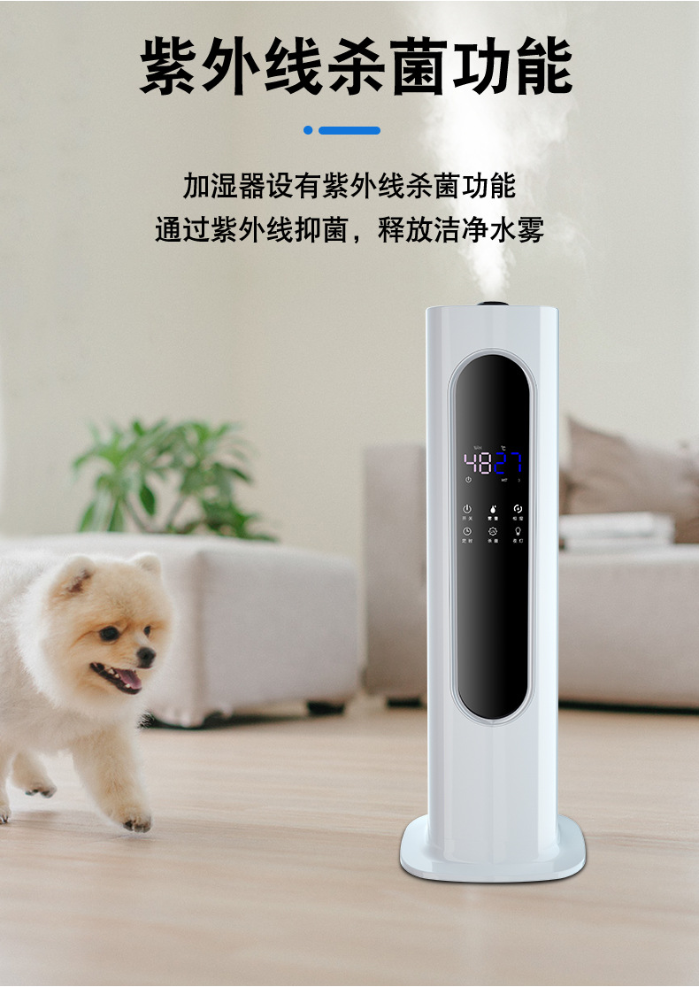 商品詳情