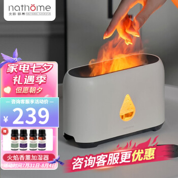 北歐歐慕（nathome） 仿真火焰香薰機加濕器臥室家用辦公室夜燈桌面迷你低噪空氣加濕器 冰川白 NJH18