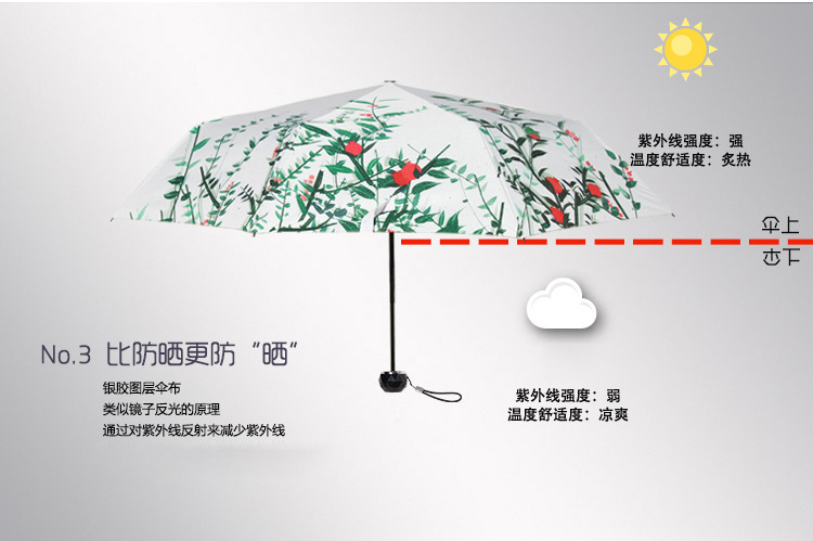 商品詳情
