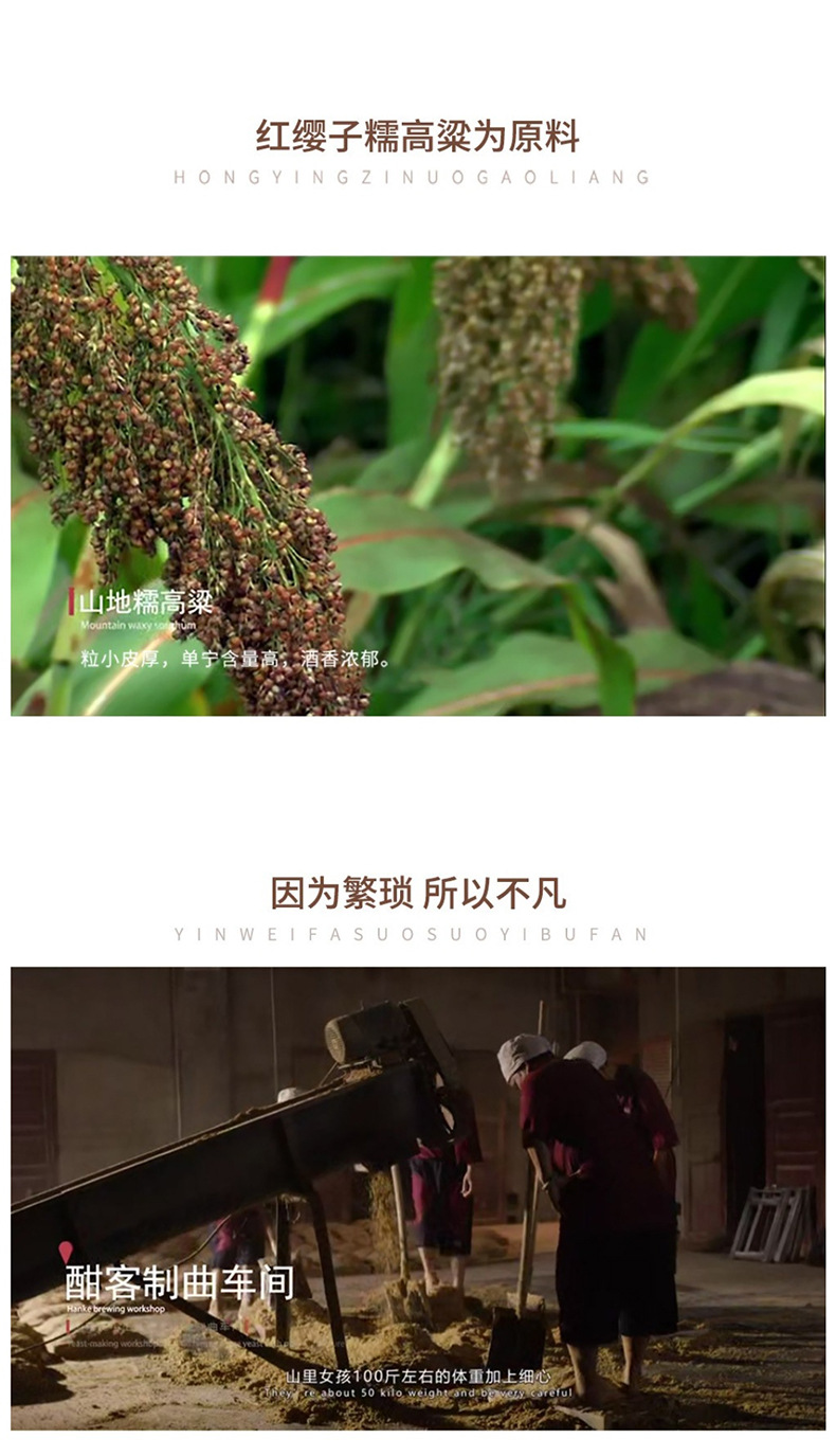 商品詳情