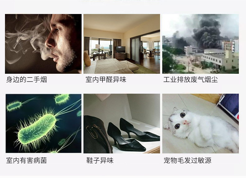商品詳情