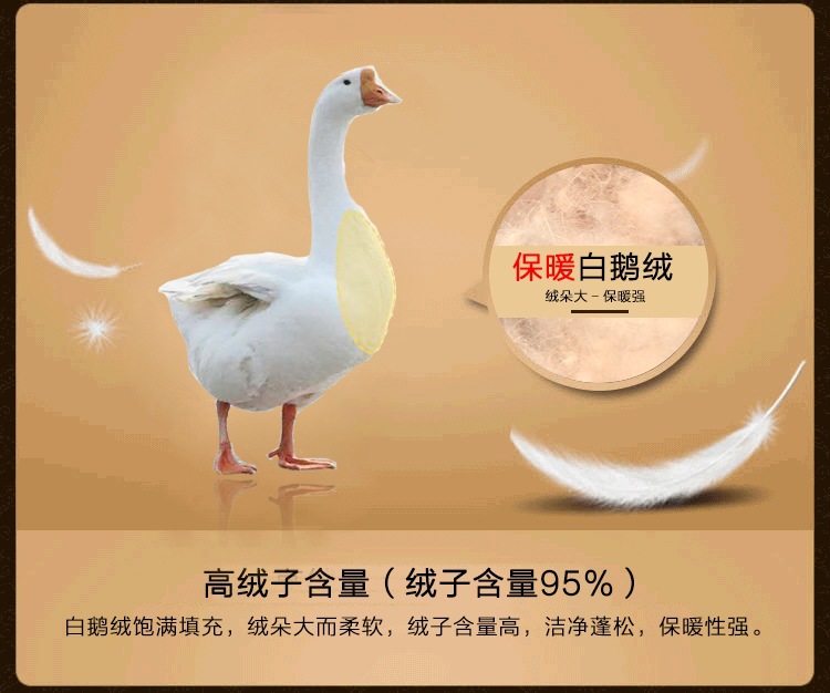 商品詳情