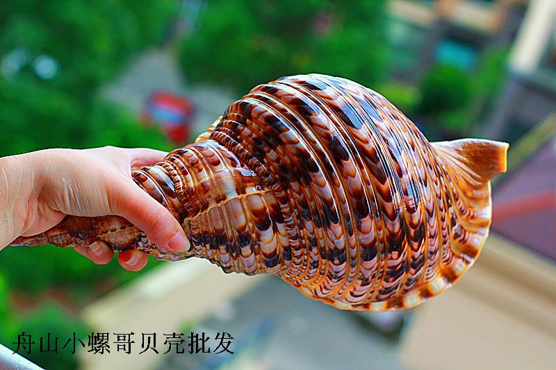 商品詳情