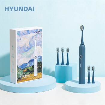 HYUNDAI HYUNDAI現(xiàn)代 成人家用聲波震動電動牙刷軟毛防水充電式男女通用 焉藍(lán)色 X901